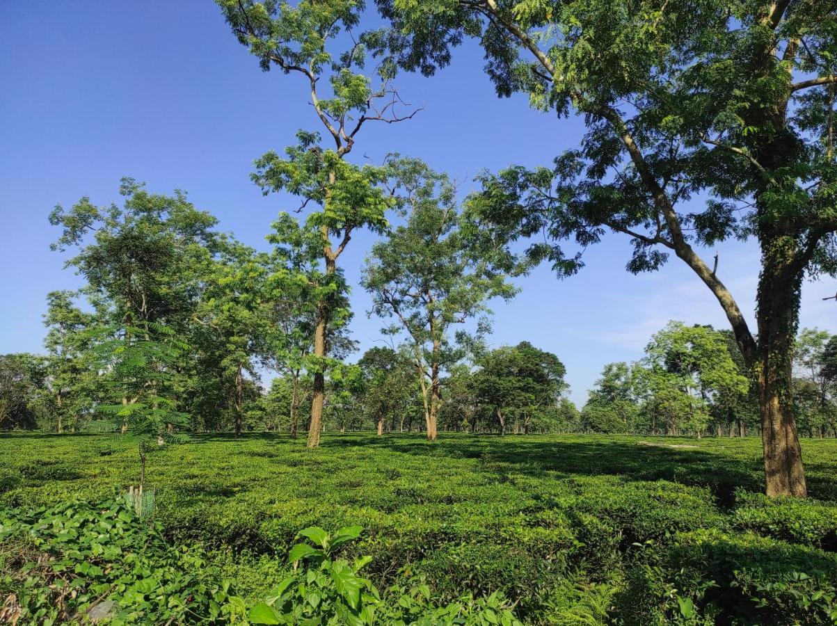Manas Green Home Stay Jyoti Gaon Exterior photo